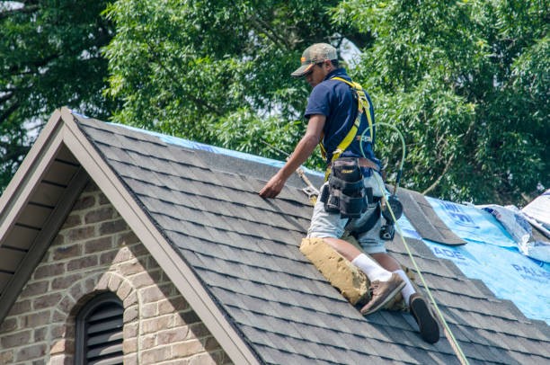 Best Storm Damage Roof Repair  in Lexington, MO